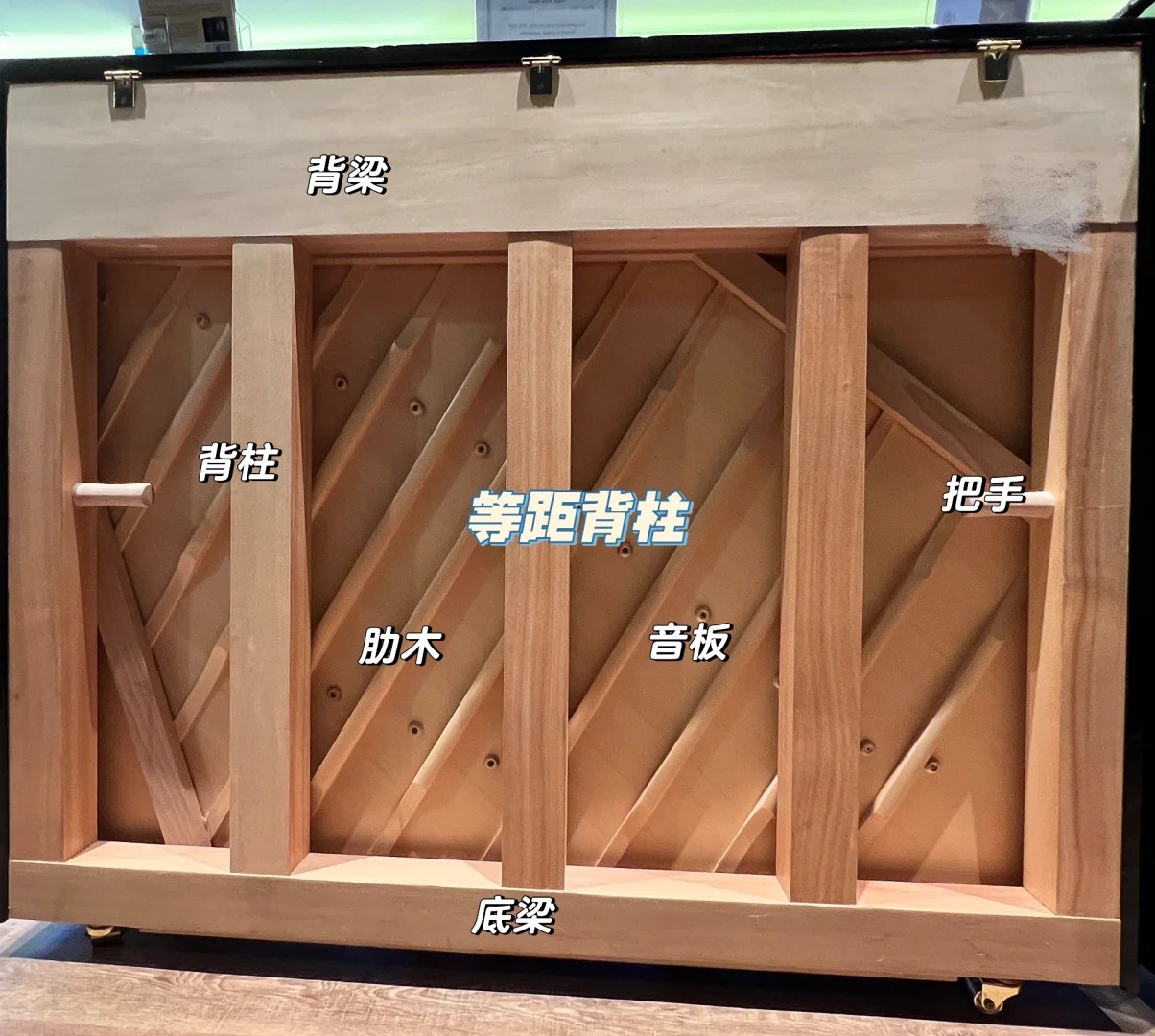 买钢琴，背面您可别忘记看（一）背柱篇_1_钢琴嘟哒嘟_来自小红书网页版.jpg